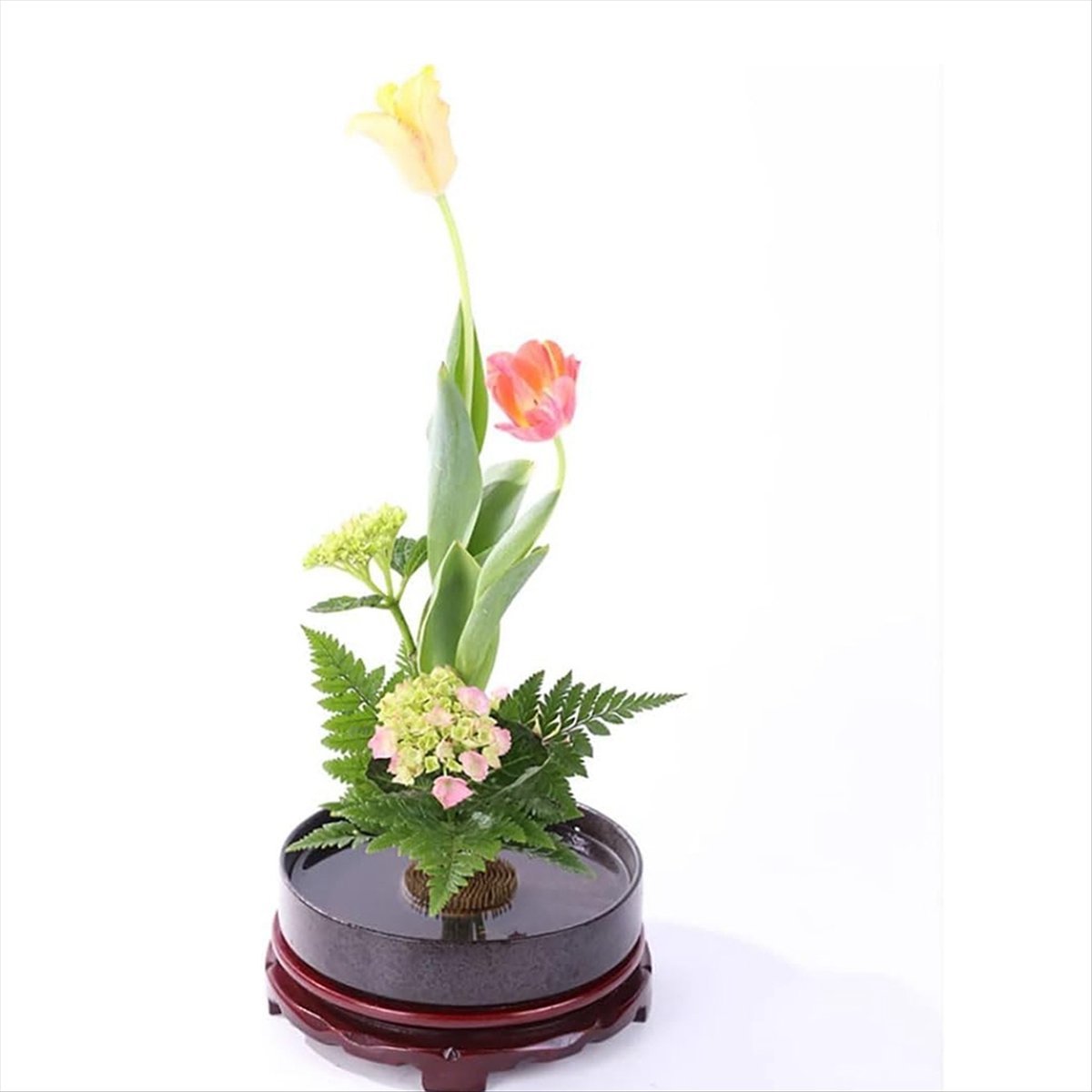 KSOL 12個入りフラワーフロッグ、ケンザンピンフロッグ丸 - Flower Frog Pin のレビューと価格