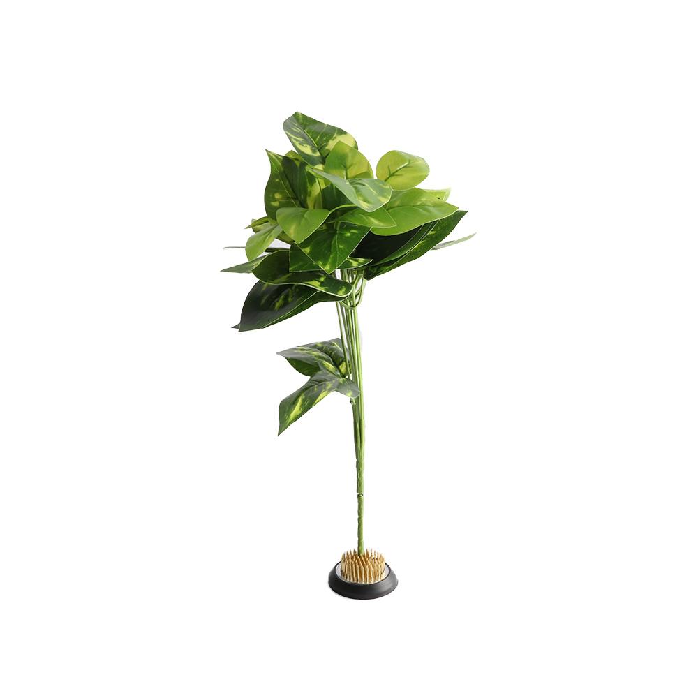 ゴム製ケンザン 針状花留め具 イケバナホルダー アート固定ツ - Flower Frog Pin のレビューと価格